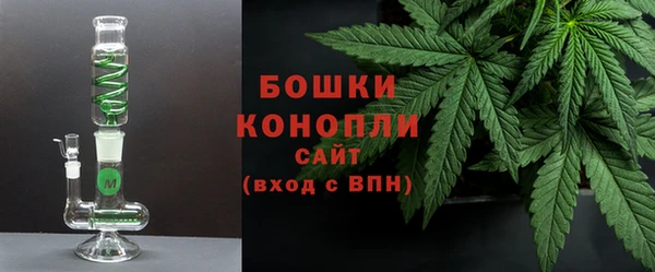 прущие грибы Михайловка