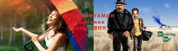 прущие грибы Михайловка