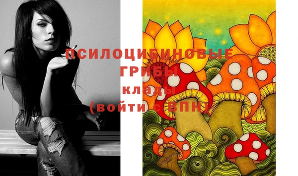 мяу мяу мука Великий Новгород