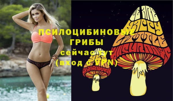 хмурый Орск