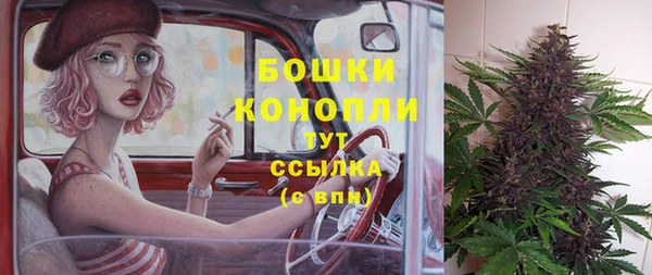 мяу мяу мука Великий Новгород