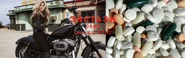 прущие грибы Михайловка