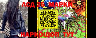 шишки Апшеронск