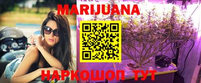 шишки Апшеронск