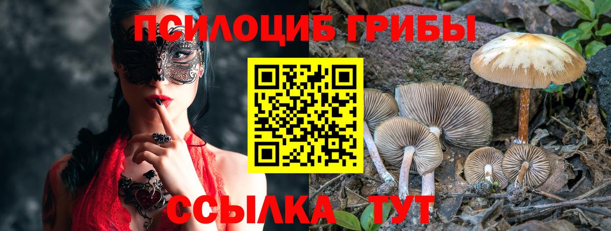 Галлюциногенные грибы Psilocybe  Псилоцибиновые грибы Magic Shrooms  Борисоглебск  продажа наркотиков  Вход с VPN 