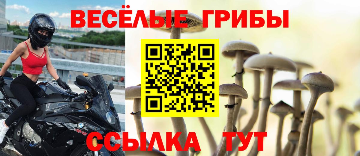 Псилоцибиновые грибы мицелий Борисоглебск