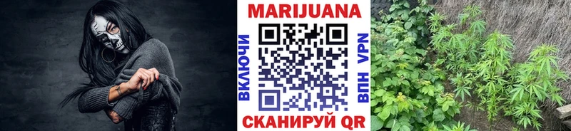 Канабис ГИДРОПОН Борисоглебск